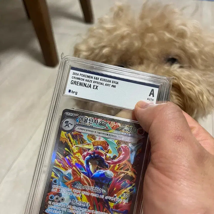 [BUNJANG] Greninja SAR Pokemon Card / 개굴닌자sar 포켓몬카드