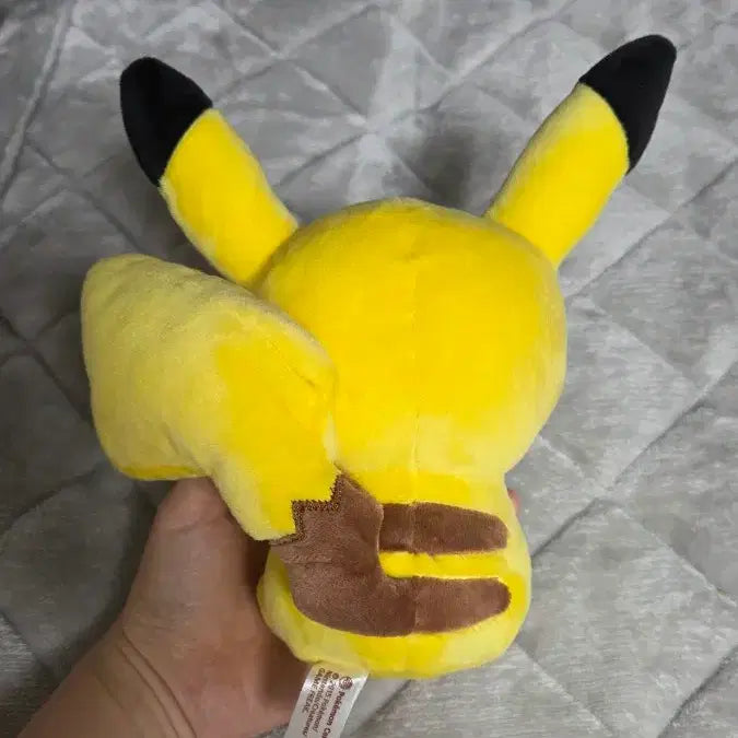 [BUNJANG] Pokemon Dolls Pikachu Medium Plush / 포켓몬 돌즈 피카츄