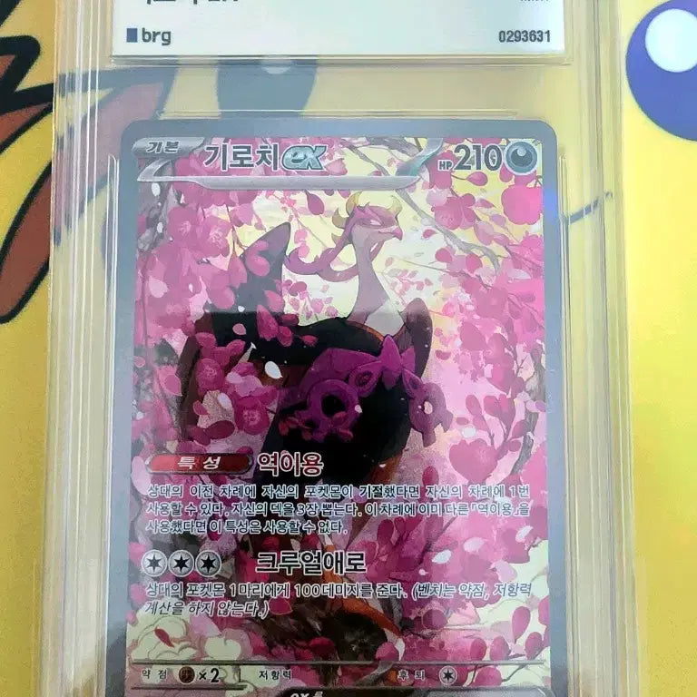 [BUNJANG] Girochi EX SAR / 기로치 EX SAR