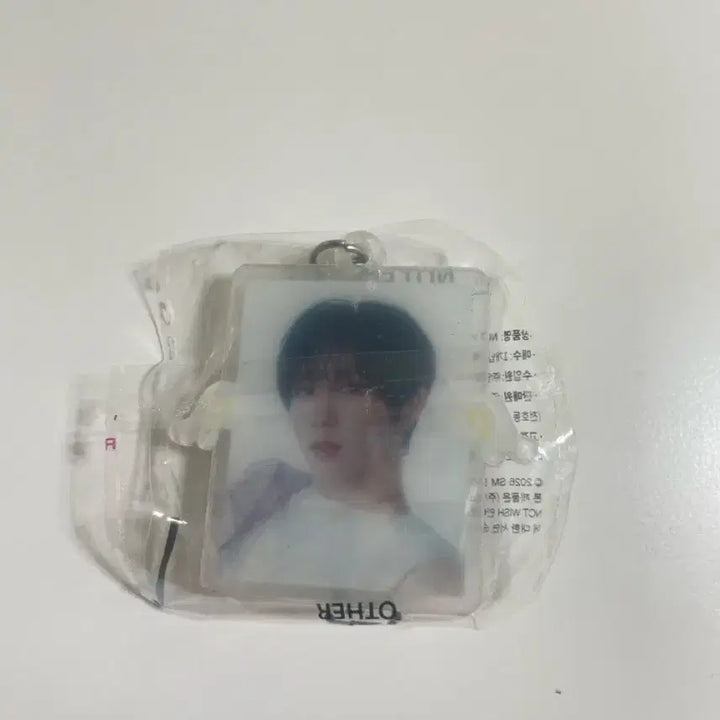 [BUNJANG] Wish Melon Pop Keyring / 위시 멜론팝키링 양도교환