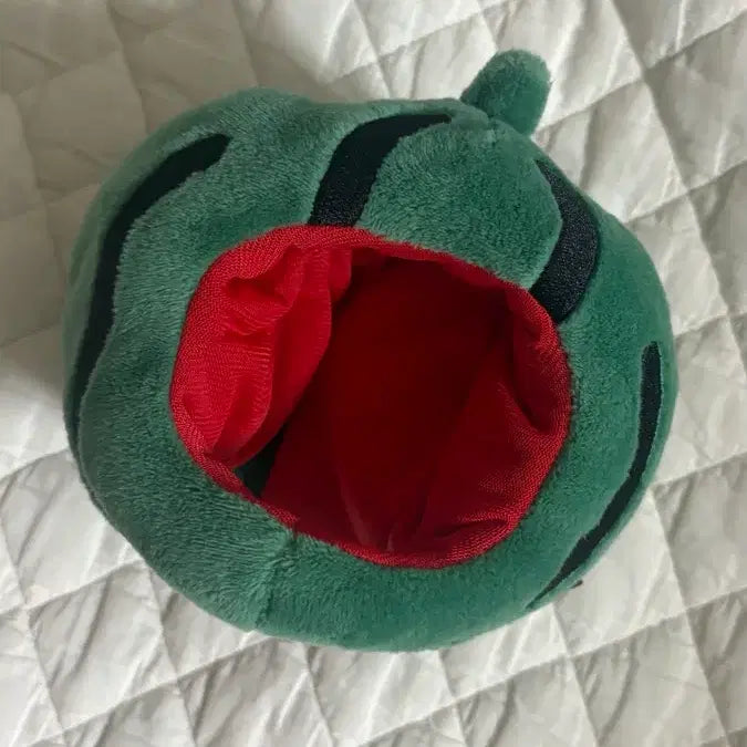 [BUNJANG] Day6 Watermelon Costume Plush Doll / 데이식스 인형 수박 코스튬