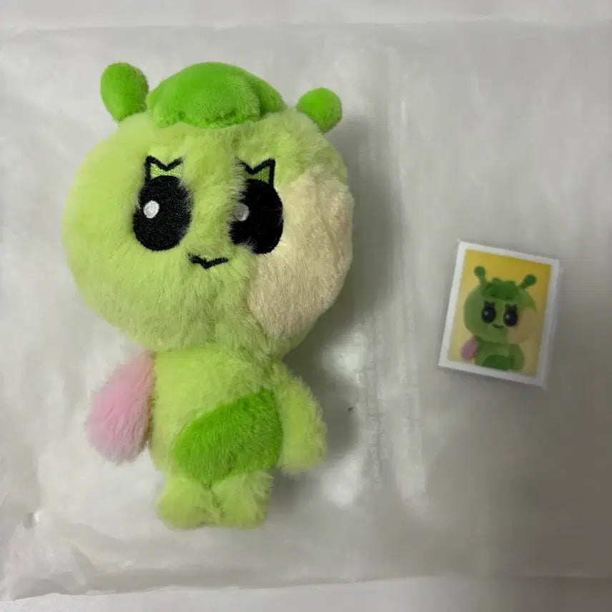 [BUNJANG] PRENECTO Samhan Bundle Set Photocard / (일괄판매 동시 진행중, 수수료 포함 가격) 쁘넥도 삼한이 판매