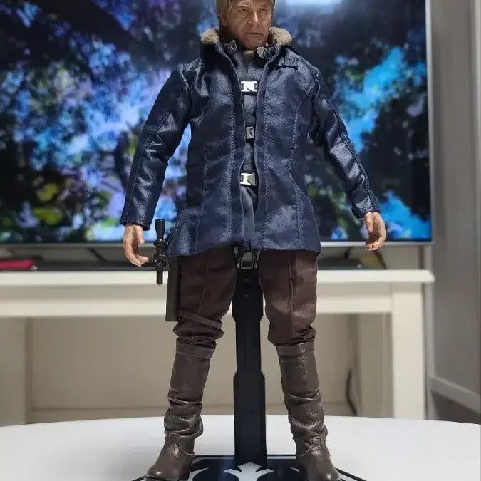 [BUNJANG] Hot Toys 1/6 Scale Star Wars: The Force Awakens Han Solo / HOT TOYS 1/6 스타워즈7 깨어난 포스 - 한솔로