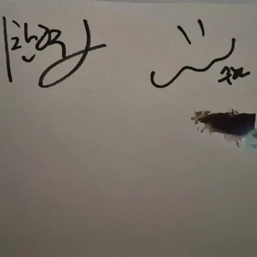 [BUNJANG] AKMU [Sailing] Signed CD Album / 악뮤 항해 친필싸인 cd 음반