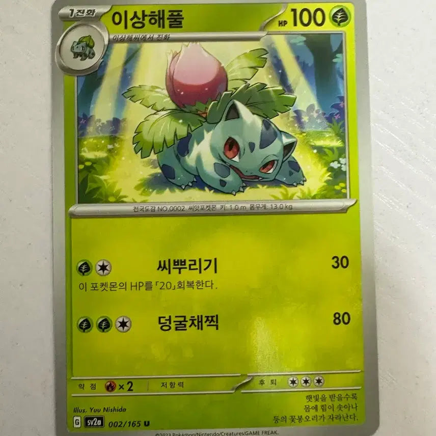 [BUNJANG] Pokemon Card Bulbasaur / [귀여운 포켓몬카드] 이상해풀