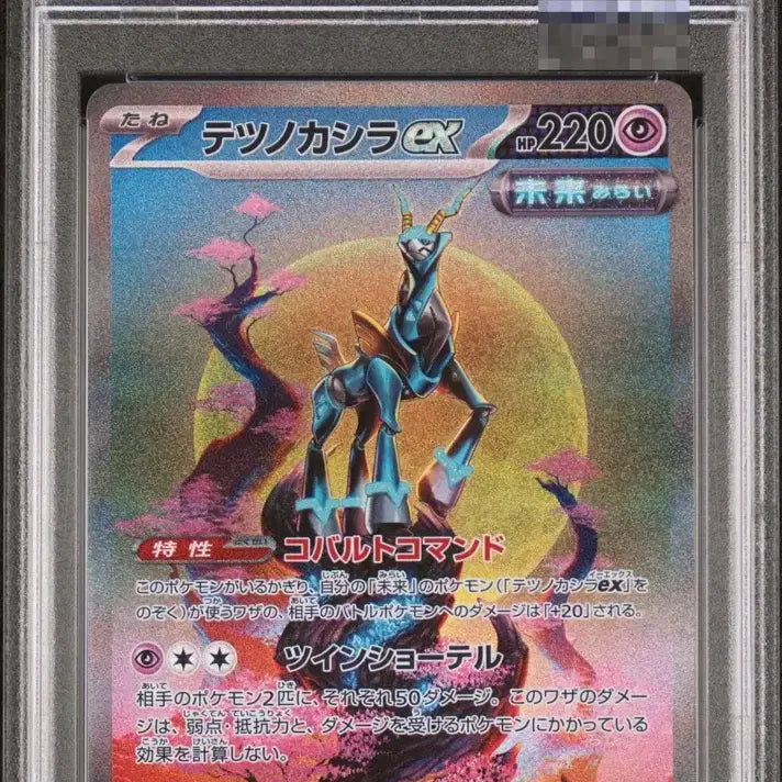 [BUNJANG] Iron Series PSA 10 Set / 무쇠 시리즈 psa10