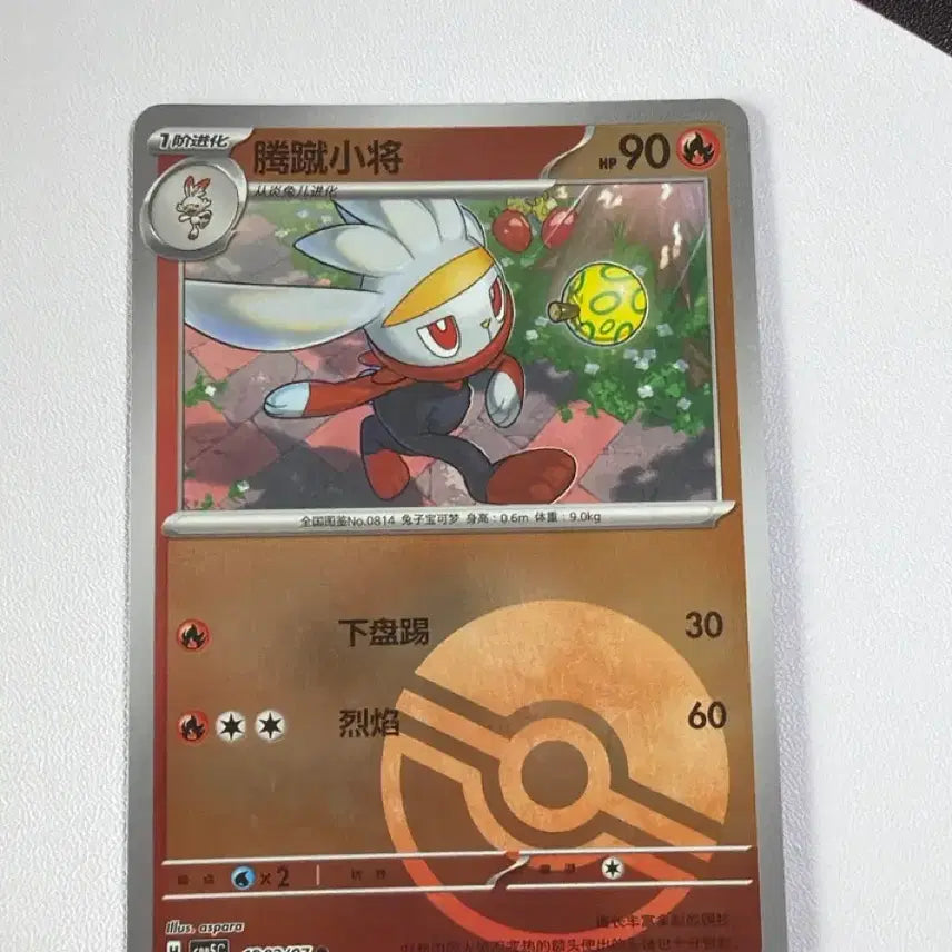 [BUNJANG] Pokemon Card Raboot (Reprint) Monball Holo / 포켓몬카드 중판 래비풋 몬볼홀로