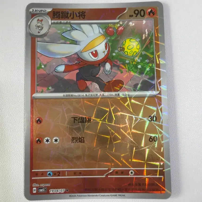 [BUNJANG] Pokemon Card Raboot Prism Holo / 포켓몬카드 중판 래비풋 프리즘홀로
