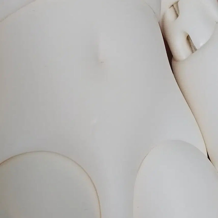 [BUNJANG] Honey Delf Romance Mochi Ball-Jointed Doll with Accessories / 물품포함 루츠 구체관절인형 허니델프 로맨스모찌