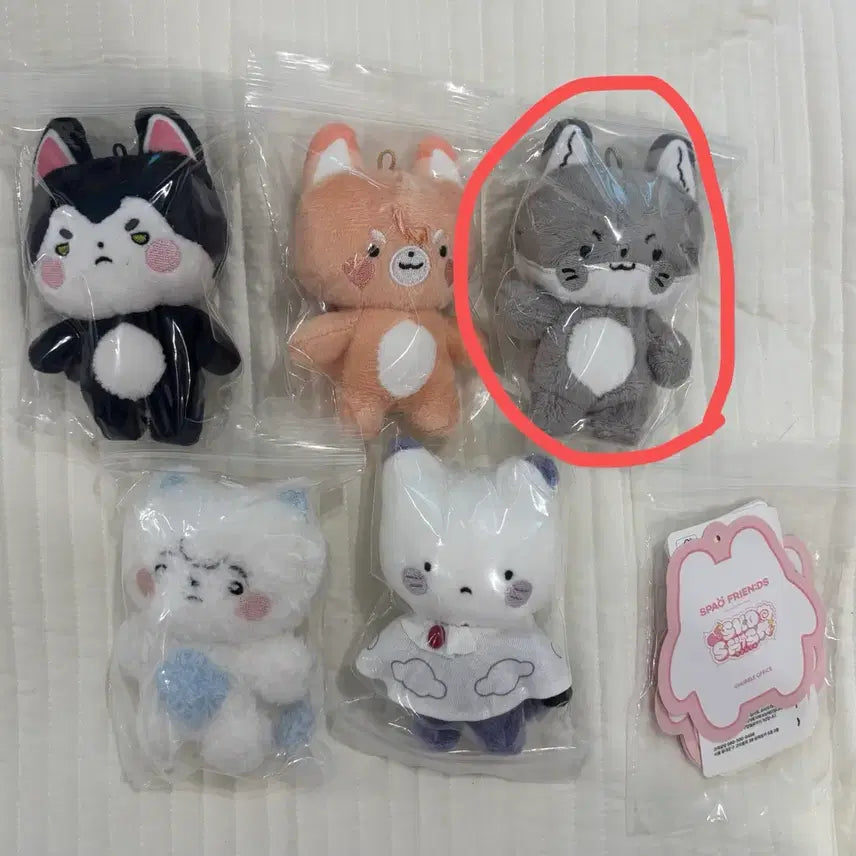 [BUNJANG] Sconyism SPAO Zip Tok Doll Koyo / 스코시즘 스파오 짚톡 인형 코요