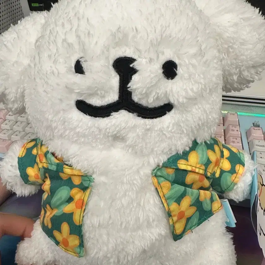 [BUNJANG] Maltese Medium Plush Toy / 몰티즈 말티즈 중형인형