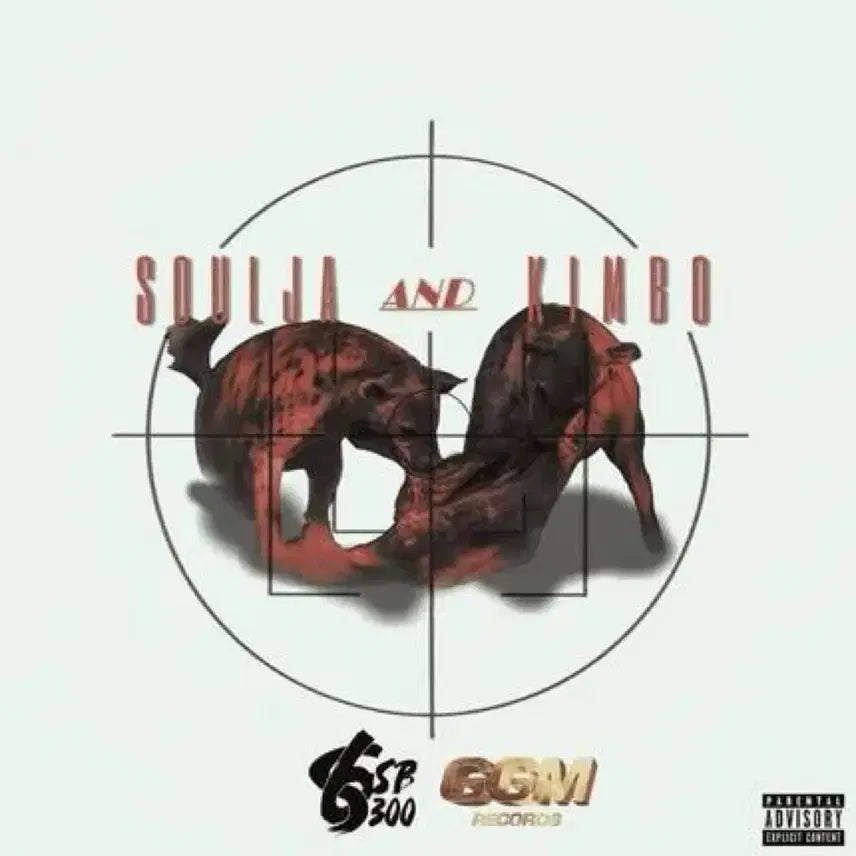 [BUNJANG] Soulja &amp; Kimbo CD / Soulja and Kimbo cd ggm