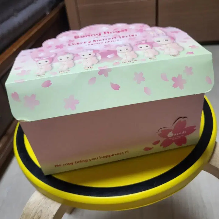 [SOLD OUT] 소니엔젤 하나미