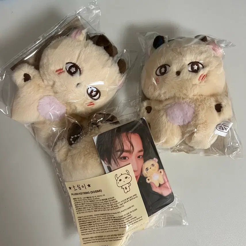 [BUNJANG] Park Jihoon "So Sim Yi" Photocard Bundle Set / 가격내림)) 박지훈 소심이