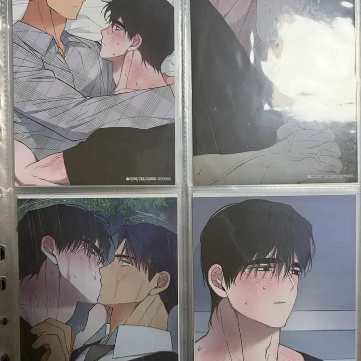 [BUNJANG] Mopefun Dawn Cloud River Binder, Postcard, and Poster Set / 모펀 새벽 구름 강 바인더 엽서 포스터