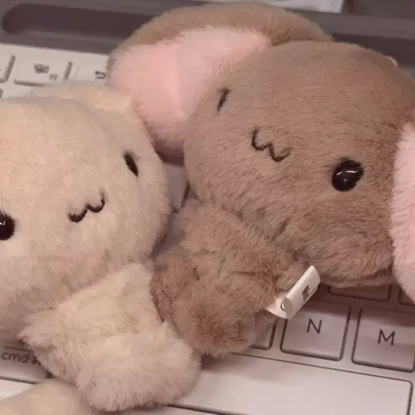 [BUNJANG] Hinakuu Robear Rabbit Plush / 히나쿠우 롭이어쿠우 롭이어 토끼 인형