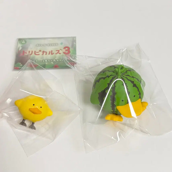 [BUNJANG] Tropical Bird 3rd Series Fruit Bird Gacha Set / 트로피컬버드3탄 과일새 가챠