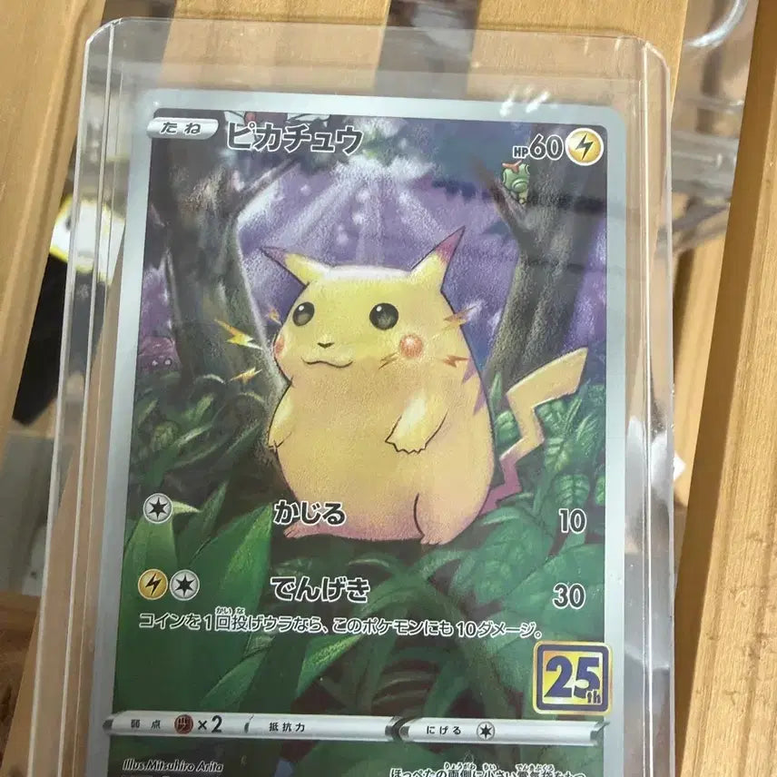 [BUNJANG] Pikachu 25th Anniversary "Fat Pikachu" Japanese Version / 피카츄 25주년 뚱카츄 일판