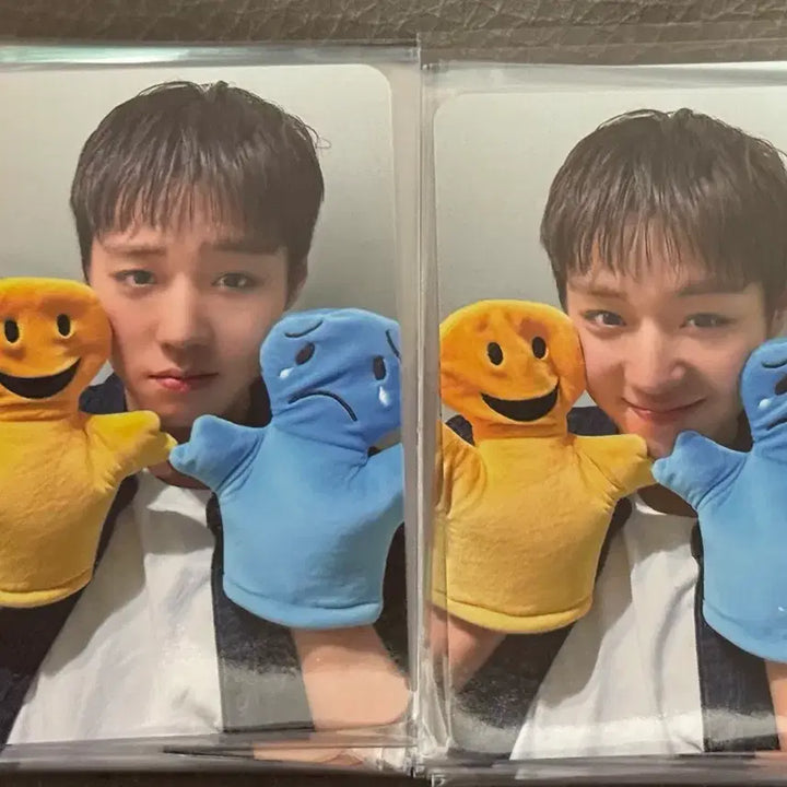 [BUNJANG] Park Ji Hoon Withmuu Emotion Doll POB Fan Sign Photocard / 박지훈 포카 위드뮤 감정인형 미공포 팬싸 개별 판매