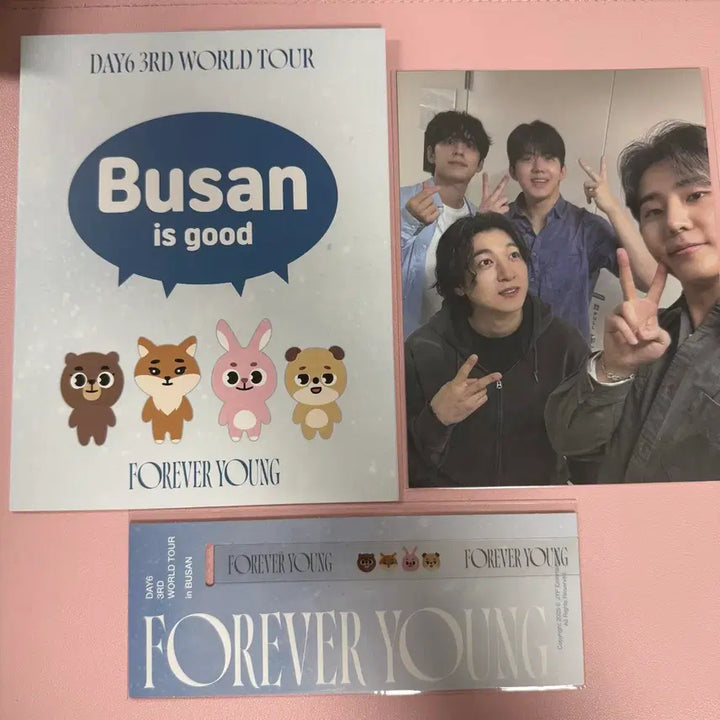 [BUNJANG] Day6 Forever Young Concert Busan Entry Kit / 데이식스 포에버영 콘서트 부산 입장키트 양도 판매
