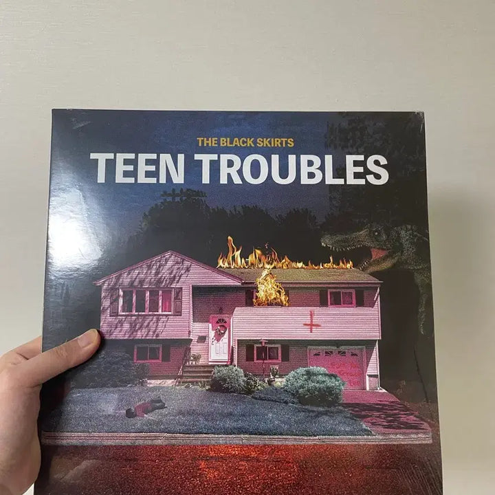 [BUNJANG] The Black Skirts Tint Trouble LP / 검정치마 틴트러블 lp