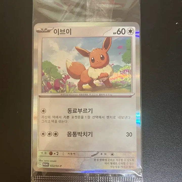 [SOLD OUT] 포켓몬카드 이브이 프로모 미개봉