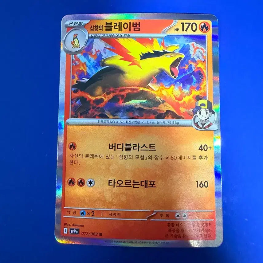 [BUNJANG] Pokemon Card Blaziken Card / 포켓몬카드 블레이범 카드