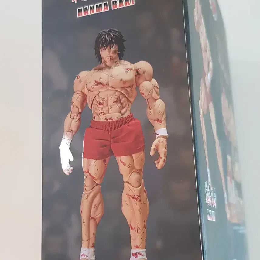 [BUNJANG] Storm Toys Baki Blood Battle Edition 1/12 Scale Action Figure / [정품] 한마 바키 블러드 에디션 피규어