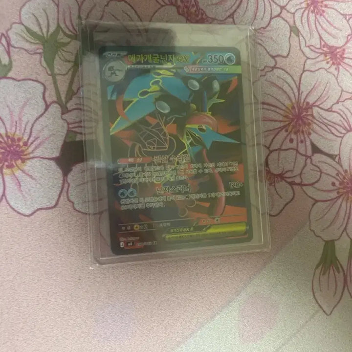 [BUNJANG] Pokemon Card Mega Greninja EX SR / 포켓몬 카드 메가개굴닌자 EX sr