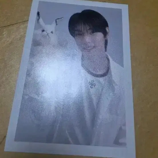 [BUNJANG] Boy Planet Sung Hanbin Large Polaroids / 보이즈플래닛 보2플 보플 최립우 대형폴라