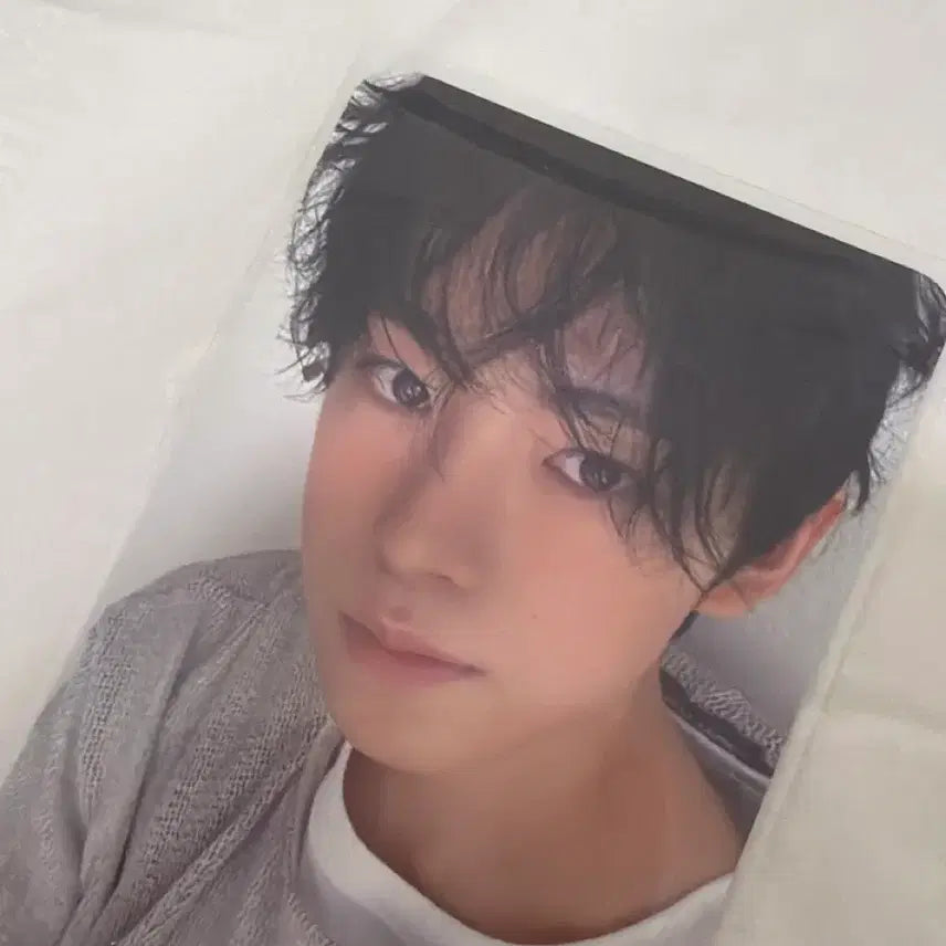 [BUNJANG] NCT WISH Weverse Lucky Draw Yushi Photocard / 엔시티 위시 스테디 위드뮤 미공포 유우시 양도