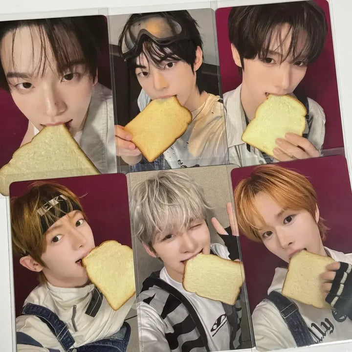[BUNJANG] TWS IsWith Bundle Set Photocard / 투어스 이즈위 양도
