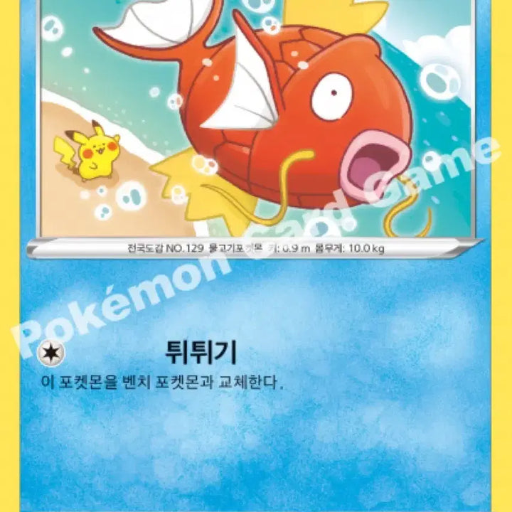 [BUNJANG] Kanamei Magikarp Bundle Set / 카나헤이 잉어킹 팝니다