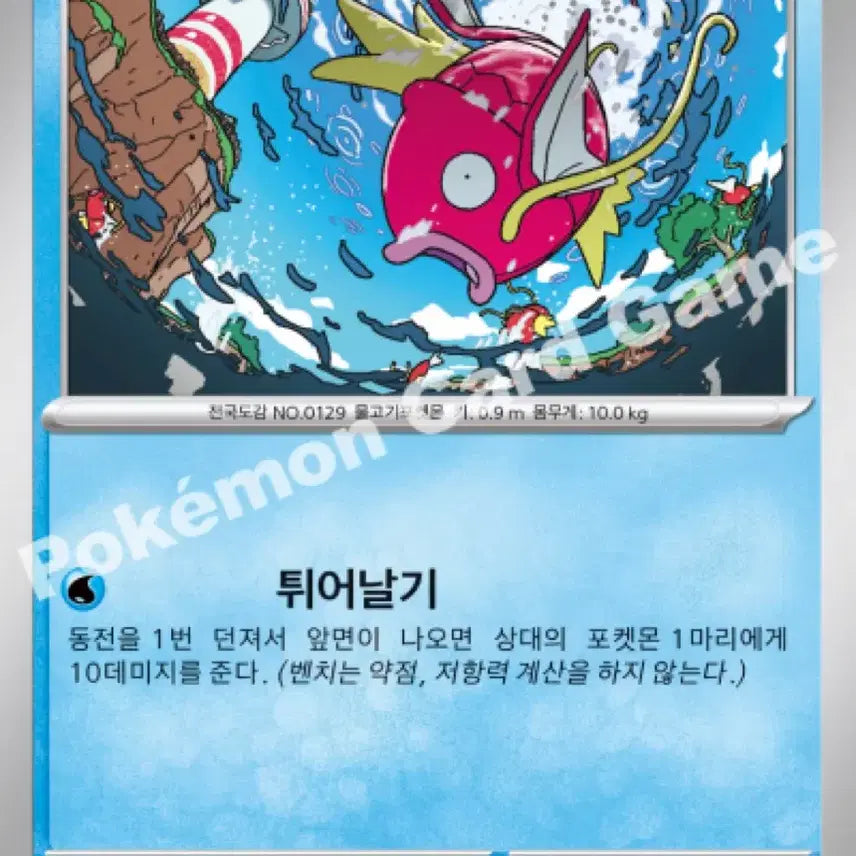 [BUNJANG] Kanamei Magikarp Bundle Set / 카나헤이 잉어킹 팝니다