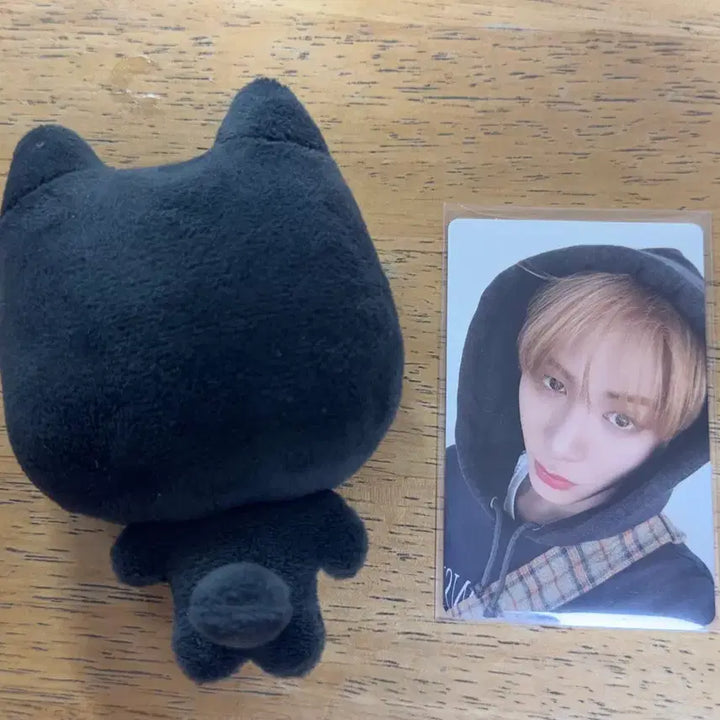 [BUNJANG] Boynextdoor Taesan 10cm Plush / 보넥도 태산 10cm 인형 태냐코