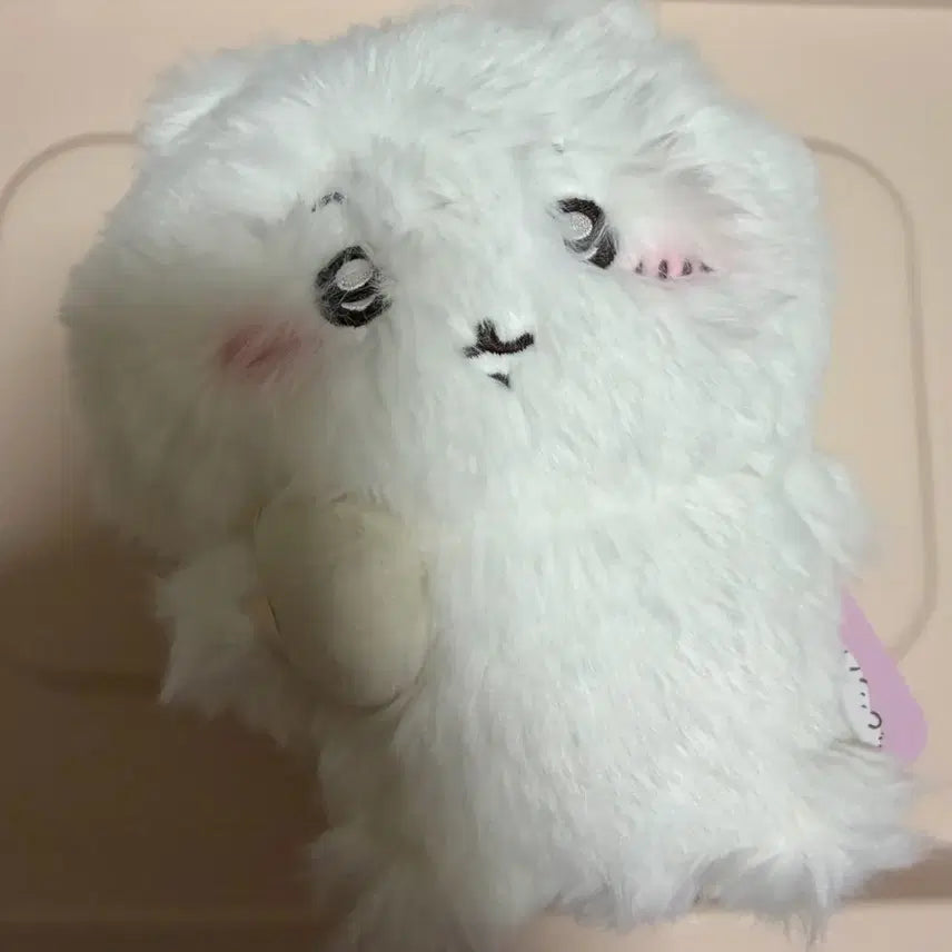 [BUNJANG] Cheeikawa Sweaty Cheeikawa Fluffy Cheeikawa Plush Doll / 치이카와 땀띠카와 털찐 치이카와 누이구루미