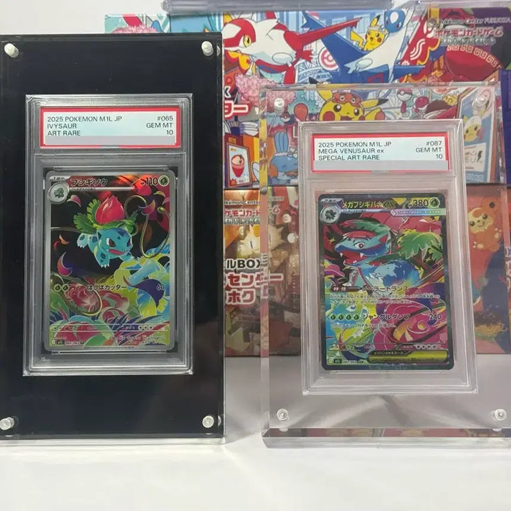 [BUNJANG] PSA Graded Card Acrylic Display Case / 포켓몬 카드 psa,brg 등급 카드용 아크릴 케이스