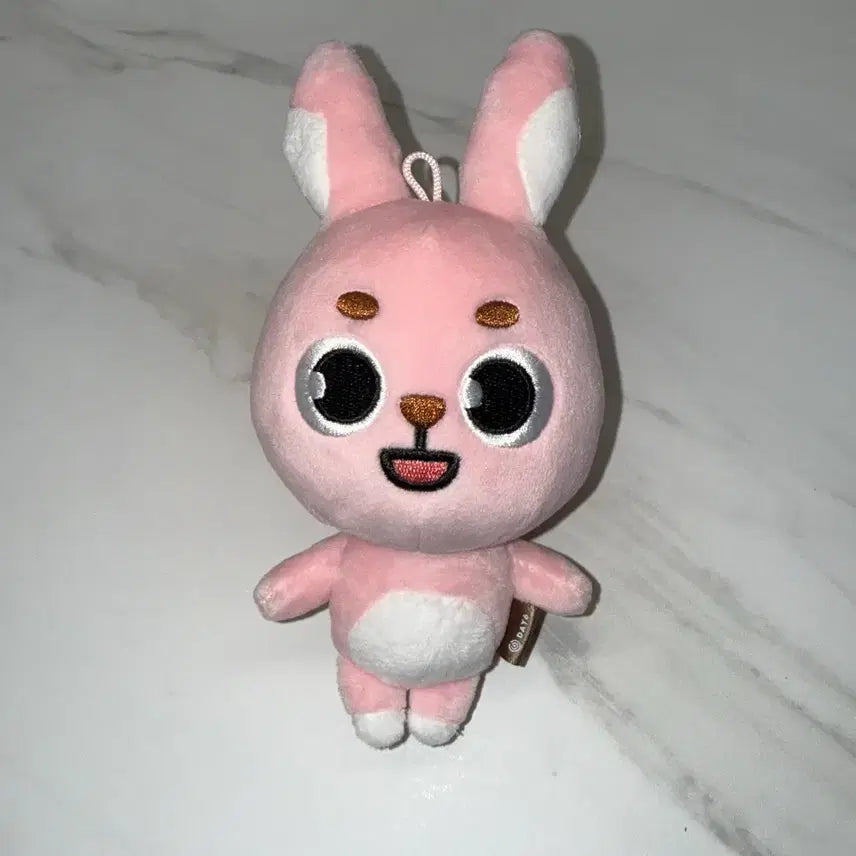 [BUNJANG] Day6 Dauphinz Wonpil Pilkki Doll / 데이식스 데니멀즈 원필 인형 필끼 2022