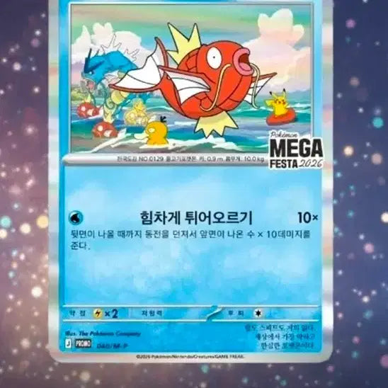 [BUNJANG] Pokemon Magikarp Promo Card / 포켓몬카드 잉어킹 프로모 판매합니다!
