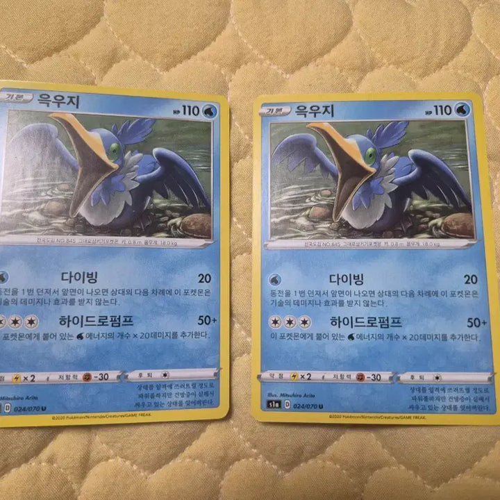 [BUNJANG] Pokemon Card Grotle Album Set / 포켓몬카드 윽우지 앨범용