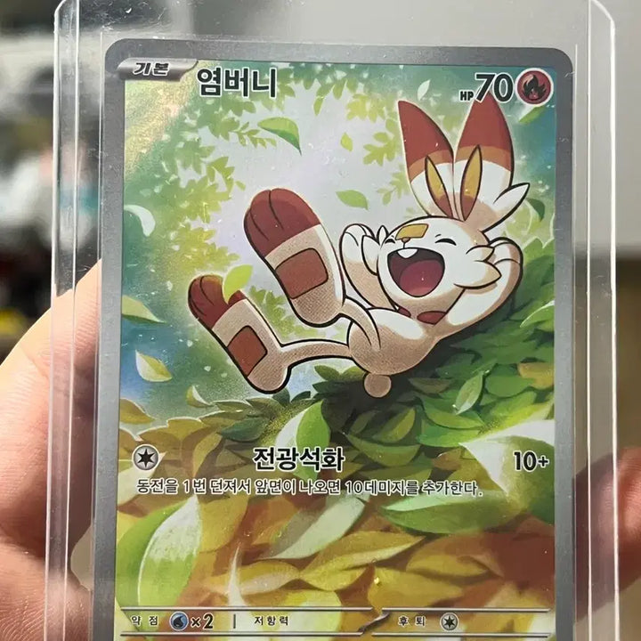 [BUNJANG] Pokemon Cards 100 Deck Bundle (Scorbunny, Marill) / 포켓몬카드 100덱 염버니, 마릴 일괄