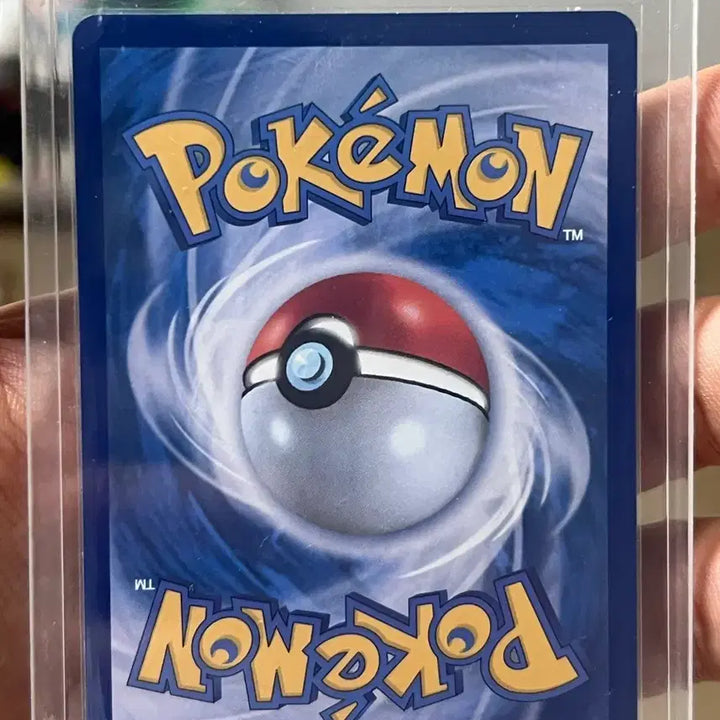 [BUNJANG] Pokemon Cards 100 Deck Bundle (Scorbunny, Marill) / 포켓몬카드 100덱 염버니, 마릴 일괄