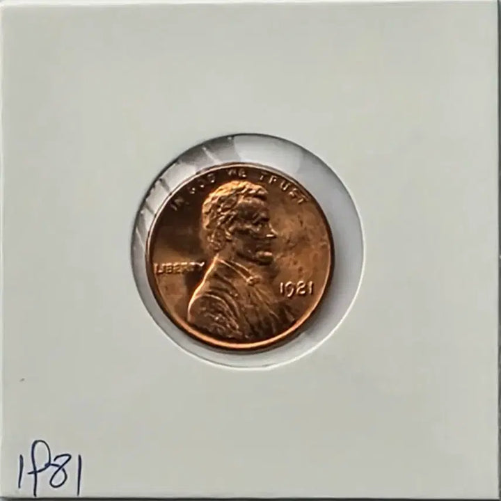 [BUNJANG] 1981 Lincoln Cent Philadelphia Mint Uncirculated Penny / 링컨 1센트 1981년도 미사용 필라델피아 페니