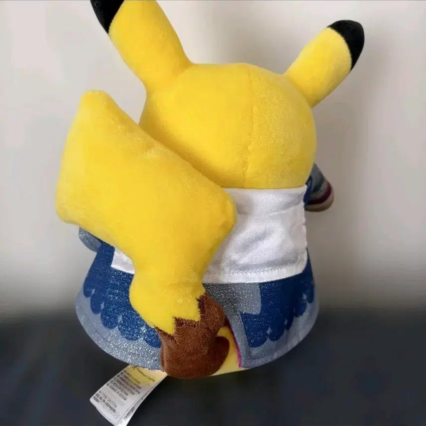 [BUNJANG] Pokemon Pikachu Plush - Japan Observatory Limited Edition / 일본포켓몬천문대 한정판 피카츄인형