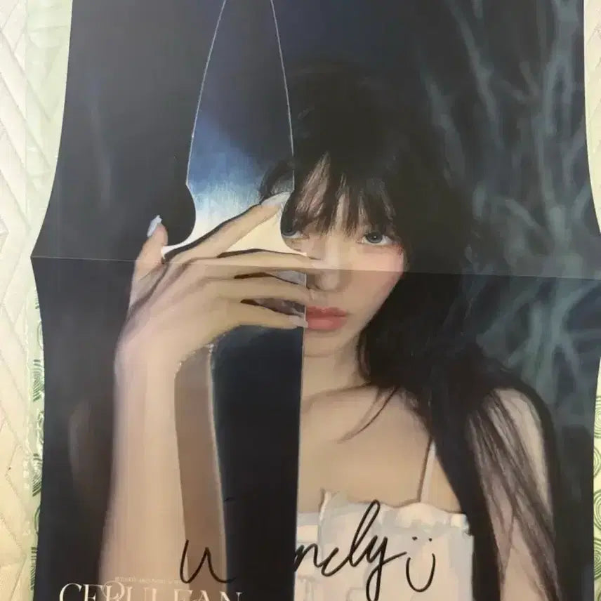 [BUNJANG] Red Velvet Wendy Joy Signed Poster / 레드벨벳 웬디 조이 싸인 포스터 판매합니다