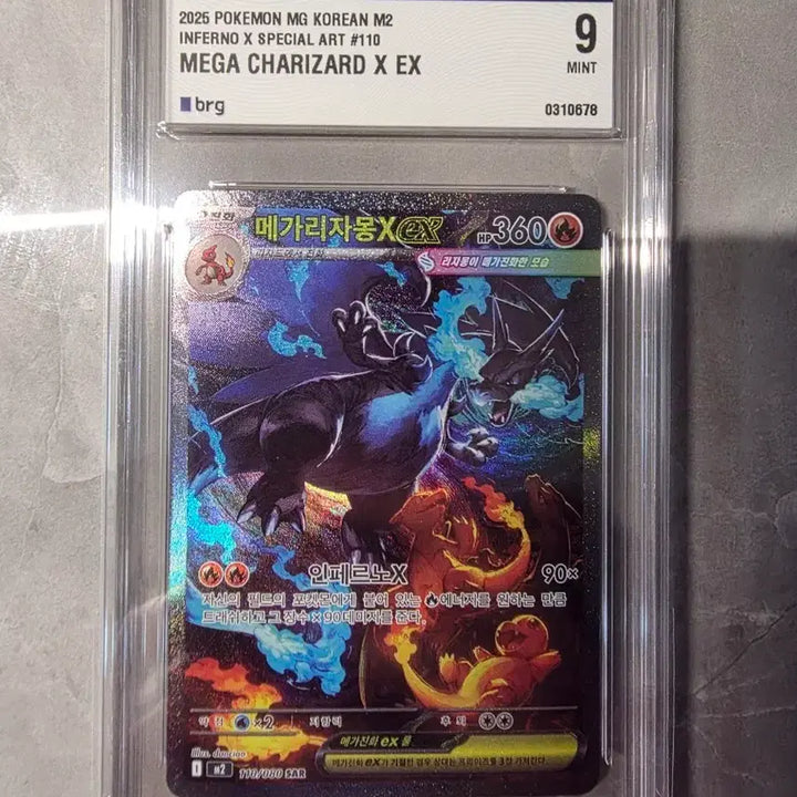 [BUNJANG] Pokemon Card Mega Charizard EX Special Art 