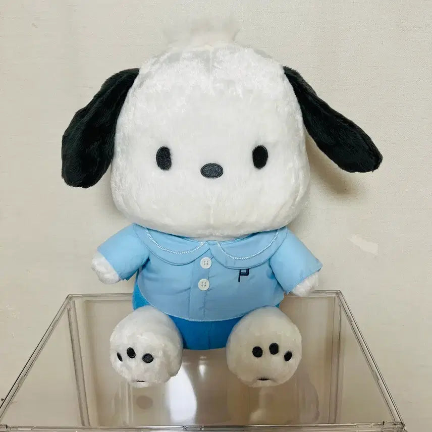 [BUNJANG] Sanrio Pochacco Medium Plush / 산리오 포차코 중형인형