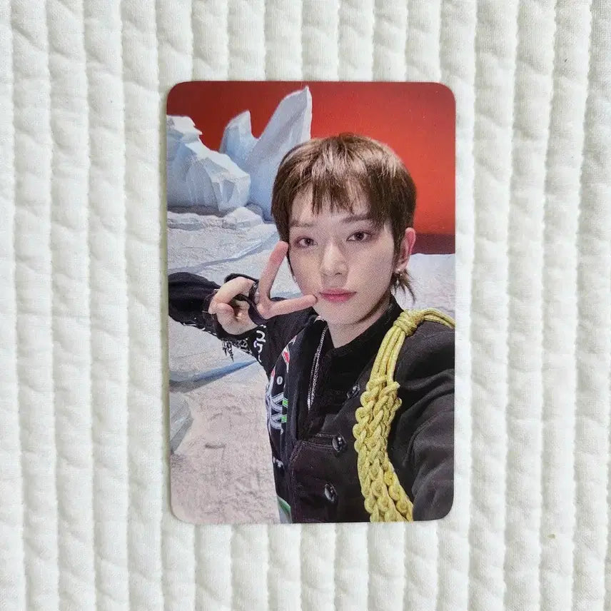 [BUNJANG] &amp;TEAM Harua Photocards / 앤팀 &amp;TEAM 하루아 워크라이 공방 공방포카 포토카드