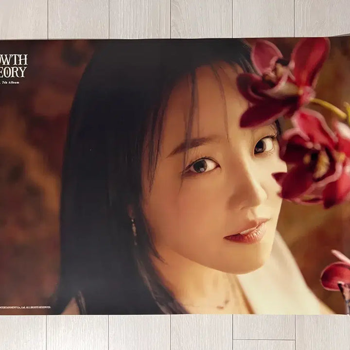 [BUNJANG] Younha Official Album Poster Set (4 Types) / 윤하 공식 앨범 포스터 4종 + 지관통