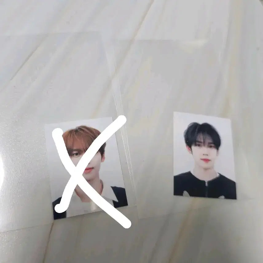 [BUNJANG] ZB1 Han Yu Jin Studio Photocard / 앤더블 제베원 한유진 역조공 증사